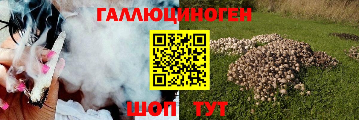 закладка  Галлюциногенные грибы мицелий  Вход с VPN  Батайск 